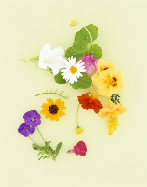 Güzel çiçekler, yakın görüş, doğa konsepti.