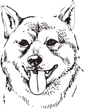 Köpek portresi, beyaz arkaplanda izole edilmiş basit siyah beyaz çizim
