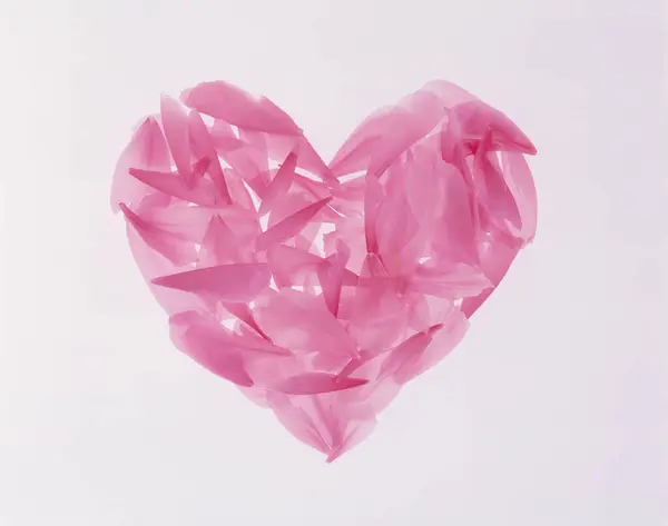 Corazón Rosa Rosa — Foto de Stock