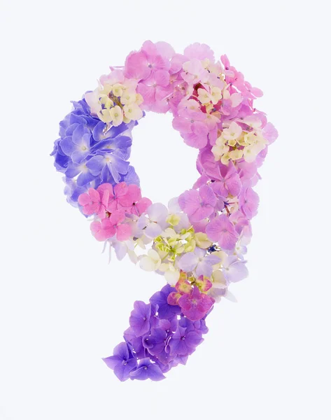 Numéro Composé Fleurs Printanières Colorées Isolées Sur Fond Blanc — Photo