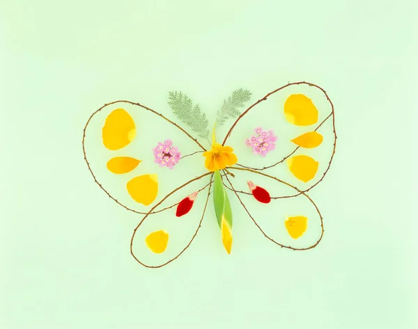 Квітка Метелик Кольорове Мистецтво — стокове фото