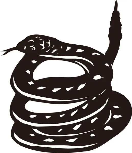 Slangenlogo Template Zwart Wit Illustratie — Stockfoto
