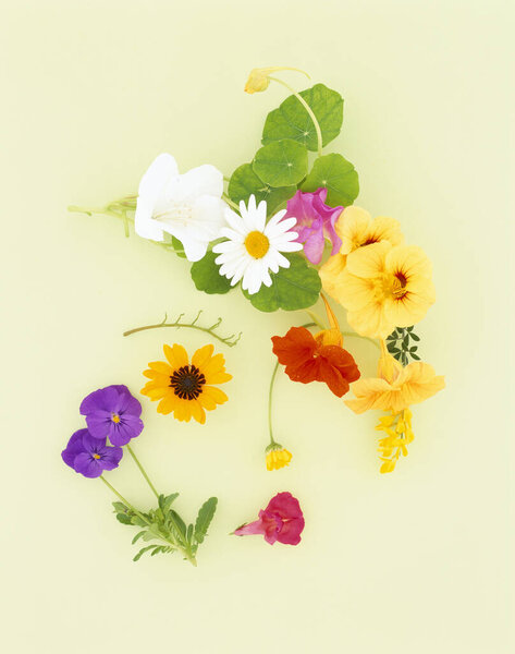 красивые цветы, крупный план, концепция природы