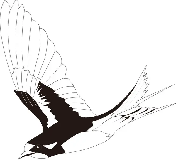 Czarny Biały Wektor Ilustracja Ptaka — Zdjęcie stockowe