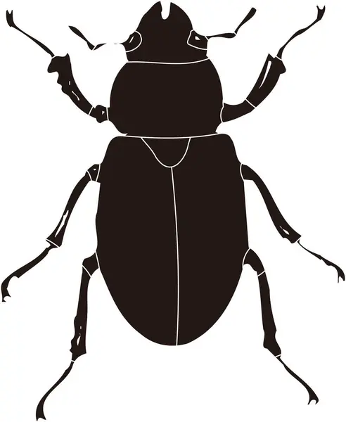 Insect Logo Template Black White Illustration — Stock Photo, Image