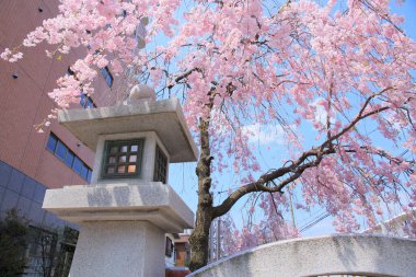 Jshinji olarak da bilinen Kuhonbutsu Jshin-ji yakınlarındaki eski bir fener Setagaya, Tokyo 'da bulunan bir Budist tapınağıdır..