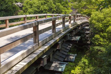 Yazın yeşil ağaçların üzerinde parktaki ahşap köprü manzarası