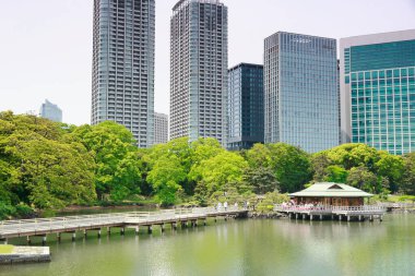 Tokyo, Japonya 'daki Hama-rikyu bahçeleri.