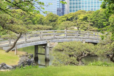 Tokyo, Japonya 'daki Hama-rikyu bahçeleri.