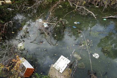 Yüzen çöpler, düşen dallar arasında durgun suları kirletiyor.