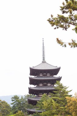 Japonya 'daki antik tapınak