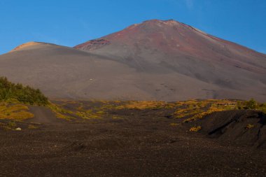 Mizugatsuka Park, Japonya 'dan Fuji Dağı