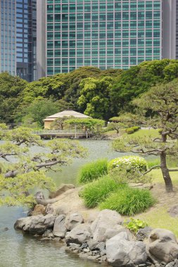 Tokyo, Japonya 'daki Hama-rikyu bahçeleri.