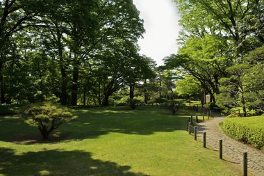 Japonya 'daki Japon bahçesi.