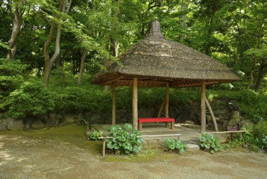 Yaz bahçesinde geleneksel Japon oyuğu