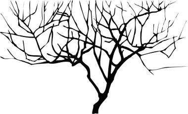 Beyaz arkaplanda ağaç dalları, siluet çizimleri