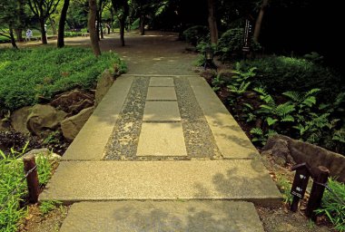 Yazın güzel bir park.