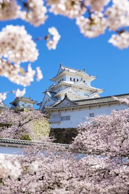Osaka, Japonya Osaka Kalesi bahar mevsiminde 