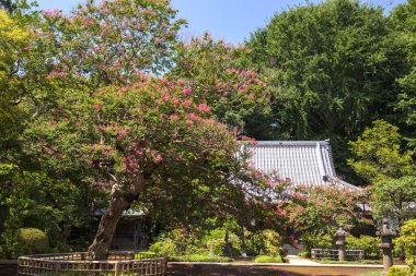 Geleneksel Japon tapınağının manzarası