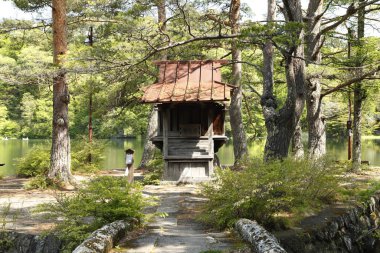 Tarihsel Asya mimarisi, Japonya, Asya
