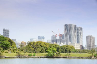 Tokyo, Japonya 'daki Hama-rikyu bahçeleri.