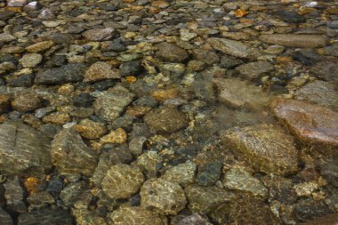 Kayalar ve suyla güzel bir dağ nehri     