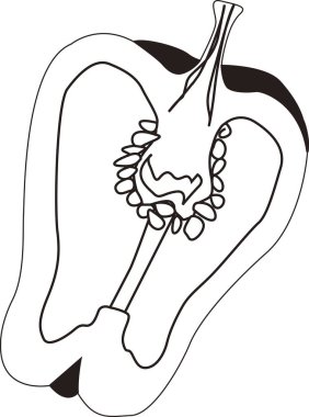 Dolmalık biberin el çizimi karikatür çizimi