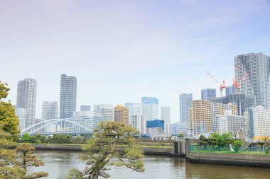 Binalar ve köprüler Sumida Nehri, Japonya. 