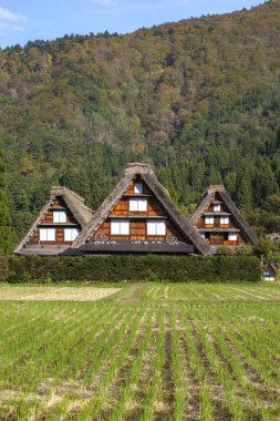 shirakawa - Japonya 'ya git