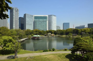 Tokyo, Japonya 'daki yeşil şehir parkı.