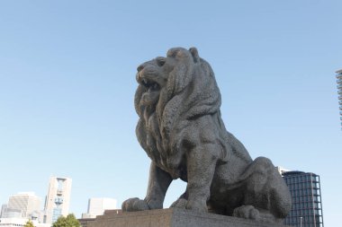 Şehir parkında yakalanan aslan heykeli, detay görünümü