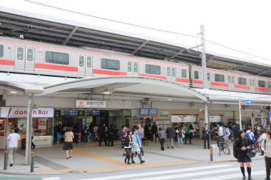 Japonya. Tren ve yolcularla dolu tren istasyonu.  