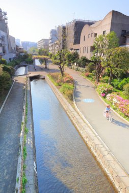 Modern şehir manzarası, kentsel ufuk çizgisi arkaplan görüntüsü 