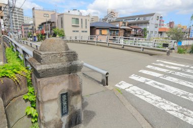 Osaka, Japonya: Oaka 'nın Dotonbori Bölgesi