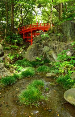 Kyoto, Japonya 'daki Japon bahçesi..