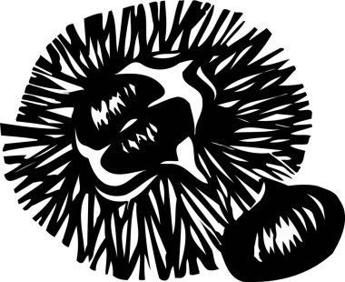 Kestane çizimi, beyaz arkaplanda izole edilmiş basit siyah beyaz illüstrasyon