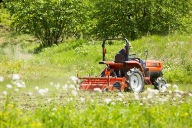 Tarlada çalışan çiftçi