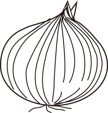 Elle çizilmiş soğan çizimi