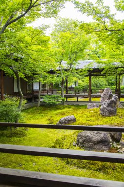 Yazın geleneksel Japon bahçesi