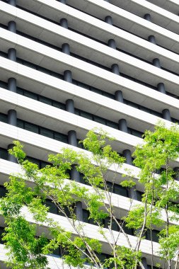 Yeşil yapraklı ağaçların arkasında tekrarlayan balkonların olduğu modern bina cephesi.
