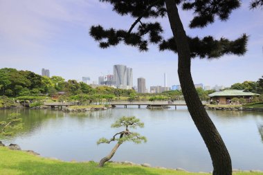 Tokyo, Japonya 'daki Hama-rikyu bahçeleri.