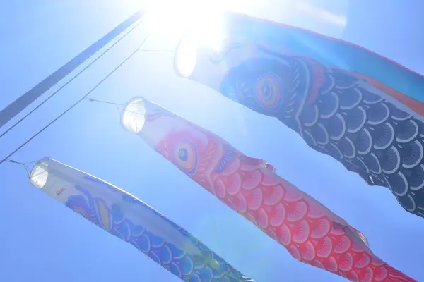 Fisch Windsack Himmel Japan — Stockfoto