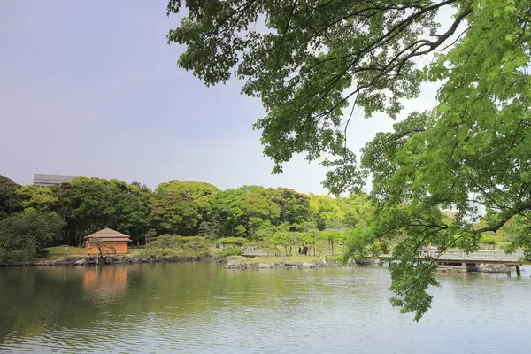 Tokyo, Japonya 'daki Hama-rikyu bahçeleri.