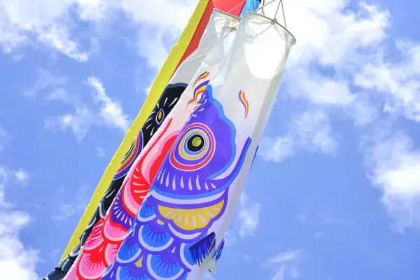 日本天空中的鱼类风袜 — 图库照片