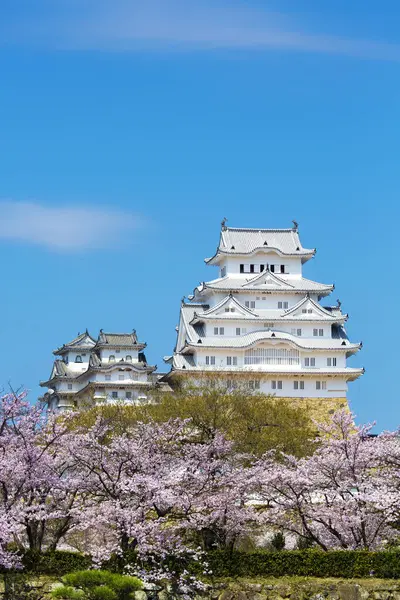 Osaka, Japonya Osaka Kalesi bahar mevsiminde 