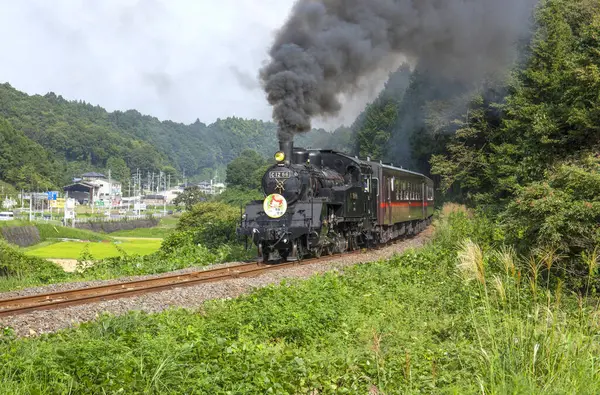 Siyah buharlı tren kırsalda ilerliyor.