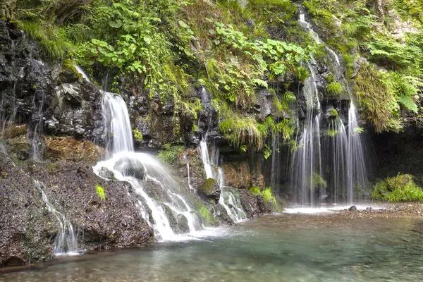 森の中の滝 自然の背景にある山の滝 — ストック写真