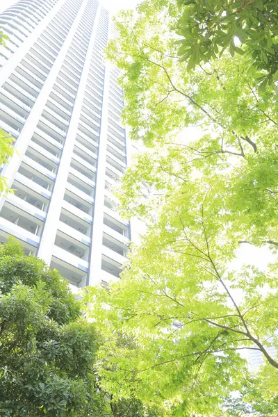 yeşil ağaç ve şehrin modern binası