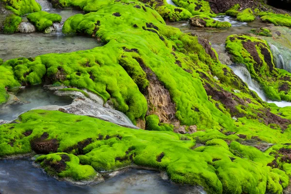 山间溪流的长满苔藓的石头 — 图库照片