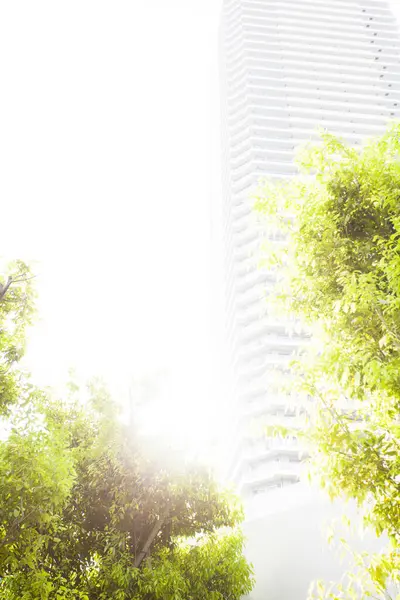 green trees and modern city architecture at sunny day